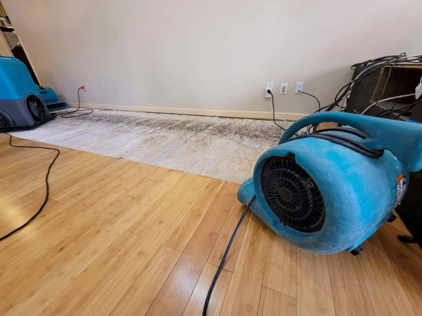Reliable Basement Flood Cleanup contractor in Dryden, MI by Hirex Water Damage