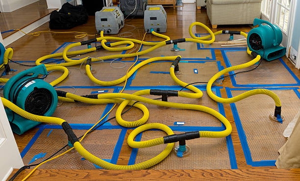 Professional Basement Flood Cleanup technician working in Dryden, MI